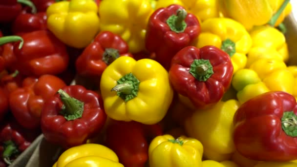 Basket Contains Bell Peppers — Vídeo de Stock