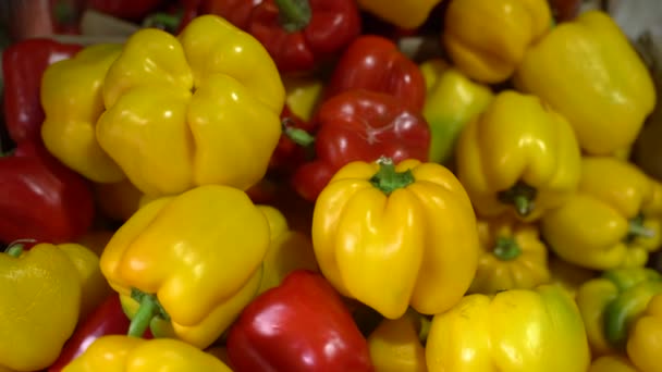 Basket Contains Bell Peppers — Stock Video