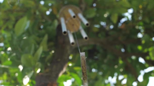 Low Angle View Handmade Dream Catcher Hanging Tree Rack Focus — Stockvideo