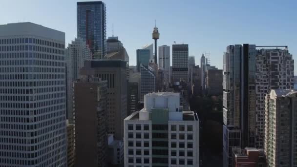 Sydney Central Business District Flight — Video Stock
