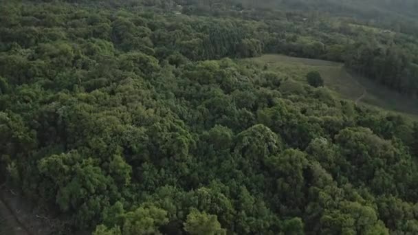 Drone Shot Mount Tohivea — Video