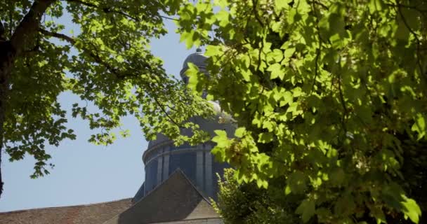Majestic Saint Quirace Vivid Tree Branches France Moving Reveal View — Vídeo de Stock