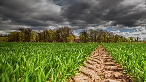 Low Angle View Tire Track Grass Dark Stormy Ominous Clouds — Stockvideo