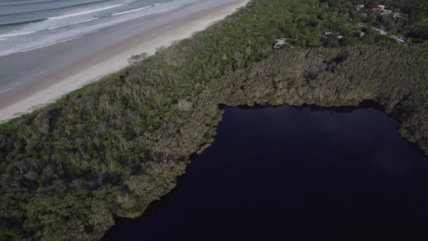 Aerial View Tree Lake Broken Head Beach Nsw Australia — 비디오