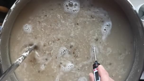 Top View Slow Motion Mash Home Brewed Pilsner Being Stirred — Vídeo de Stock