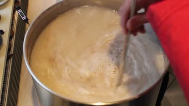 Time Lapse Mash Process Home Brewed Beer One Person Pouring — Vídeo de stock