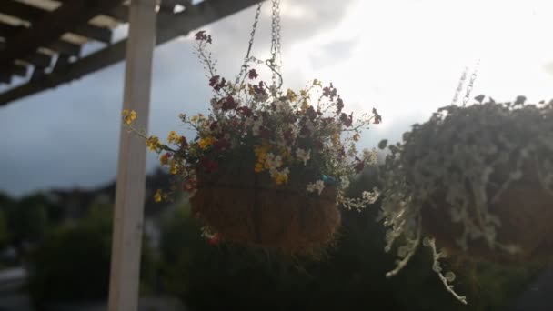 Colourful Flowers Coconut Fibre Baskets Hanging Cabin Wooden Roof Sunset — Wideo stockowe