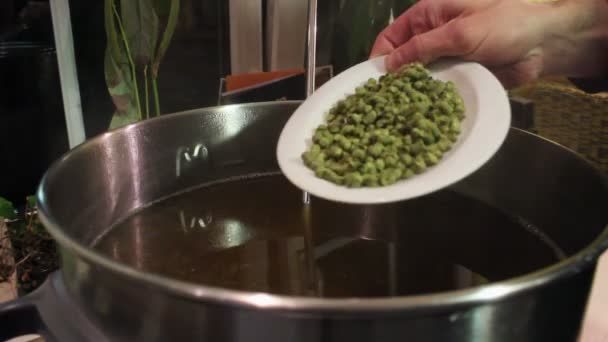 Green Hops Being Poured Stainless Steel Pot Static Close Footage — Vídeo de Stock
