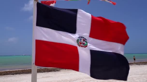 観光客は澄んだ水と白い砂を楽しむ間 ドミニカ共和国の旗の周りの回転は ビーチで飛んでいます 快晴の空熱帯雨林の背景 — ストック動画