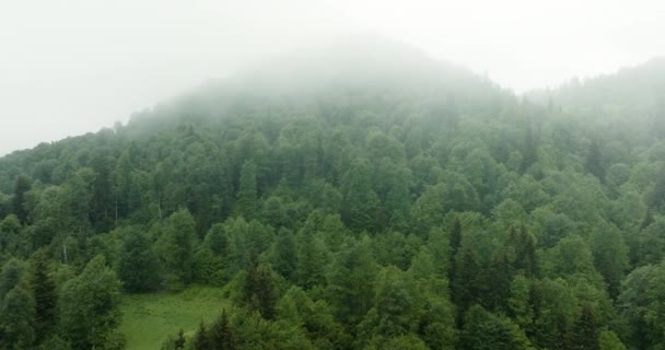 Flying Misty Pine Forest Ski Resort Bakuriani Georgia Aerial Drone — Αρχείο Βίντεο