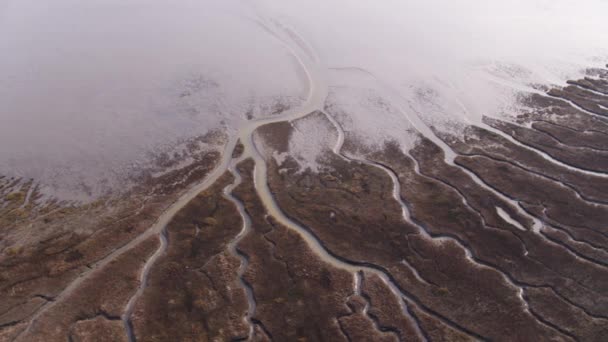 Abstract Aerial River Delta Tidal Marshes Oostvoorne Netherlands — Vídeo de stock