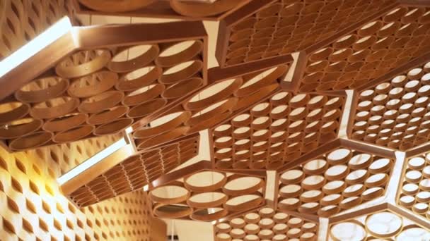 Closeup Complex Sound Treatment Ceiling Architecture Auditorium Seine Musicale Paris — стоковое видео