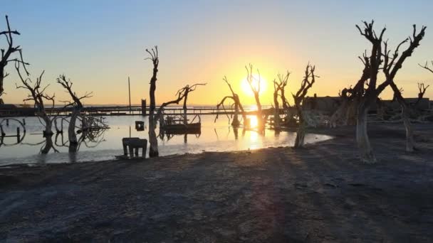 Golden Hour Shoreline Epecuen Town Shot Tracking Forward — Wideo stockowe