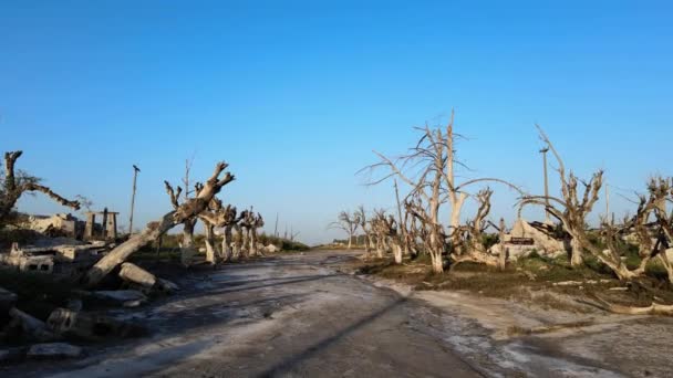 Road Epecuen Historic Flooded Town Buenos Aires — Stockvideo