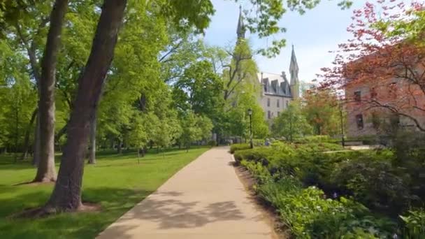 Pov Student Walk Northwestern University College Campus Beautiful Scenery — Stock video