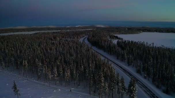 Aerial View Flying Snowy Lapland Pine Woodland Winter Landscape Evening — Stock video