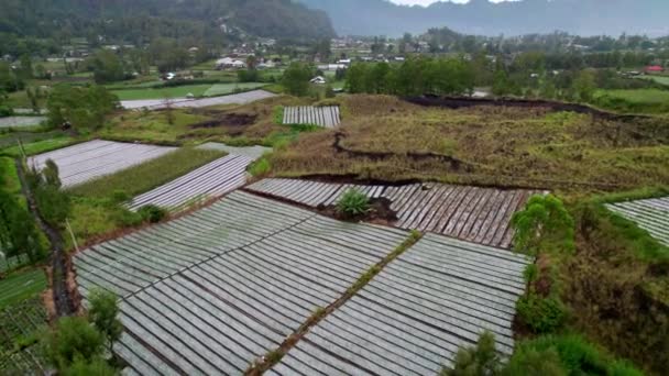 Kintamani Small Rural Village Bali Island Indonesia Agricultural Rural Countryside — Wideo stockowe