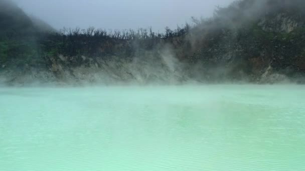 Neon Sulfur Lake Steam Rising Withered Forest Dead Trees Volcano — Vídeo de Stock