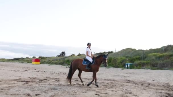 Beautiful Girl Long Hair Rides Her Horse Beach Evening Donabate — Wideo stockowe