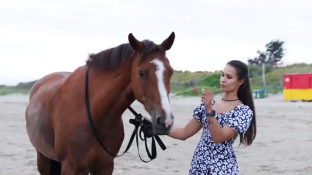 Beautiful Girl Long Hair Blue Dress Gives Her Horse Treat — ストック動画