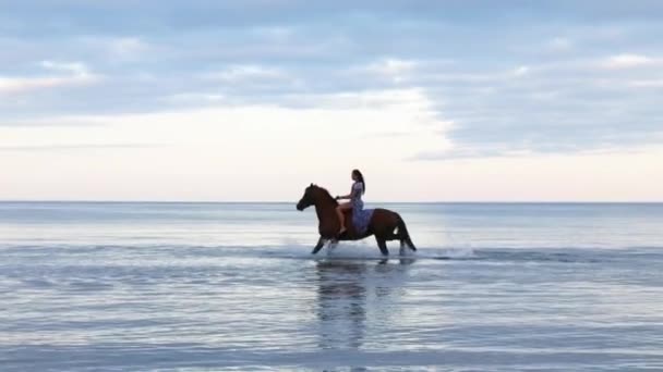 Beautiful Girl Long Hair Blue Dress Riding Horse Water Evening — Stock Video