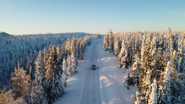 Αεροφωτογραφία Μετά Από Όχημα Που Οδηγεί Μακρύ Χιονισμένο Παγωμένο Οδικό — Αρχείο Βίντεο