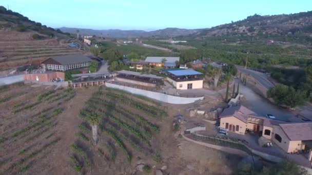 Winery Restaurant Vineyards Mountain Valley Aerial Drone Pan Out Shot — Αρχείο Βίντεο