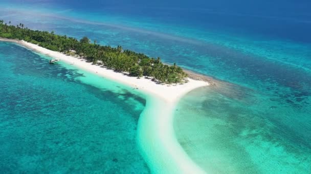 Paradise Kalanggaman Island Calm Bluse Sea Palompon Leyte Philippines Aerial — Stockvideo