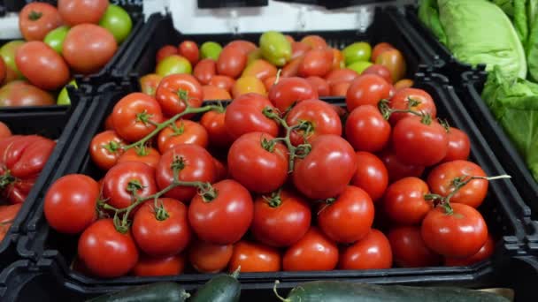 Fresh Delicious Red Tomatos — стоковое видео