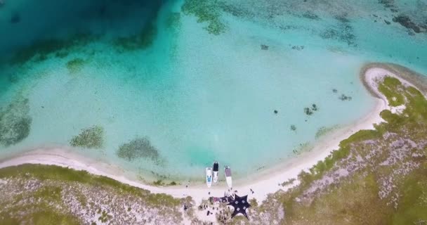 Top View Reveal People Enjoy Beach Day Summer Caribbean Island — 비디오