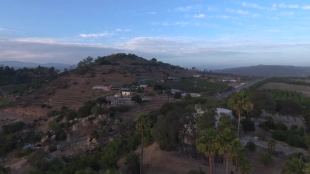 Palm Trees Beautiful Houses Valley Wine Country California Iconic Aerial — Αρχείο Βίντεο