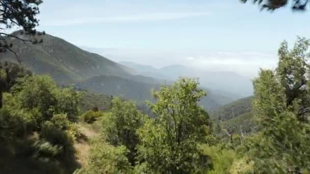 Aerial View San Bernardino Mountains National Forest Big Bear Lake — Stock video