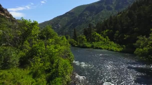 Aerial Trees River Small Rapids — Vídeo de Stock