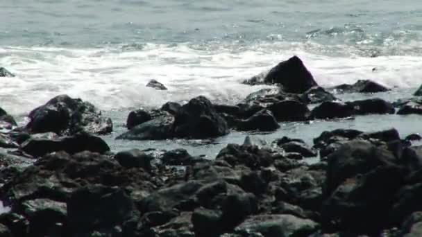 Waves Lapping Rocky Shore African Island Nation Tom Prncipe — Stock Video