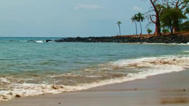 Waves Washing Ashore African Island Nation Sao Tome Principe Baobab — Stok Video