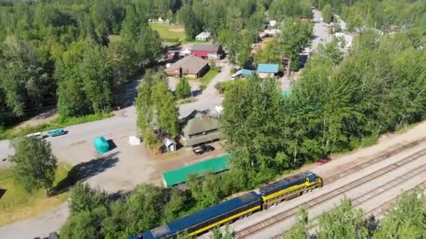 Беспилотное Видео Железной Дороге Аляски Станции Талкитна Аляска Солнечный Летний — стоковое видео