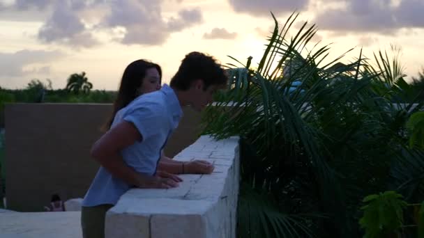 Молода Пара Насолоджується Тропічним Листям Заході Сонця Романтична Концепція Побачення — стокове відео