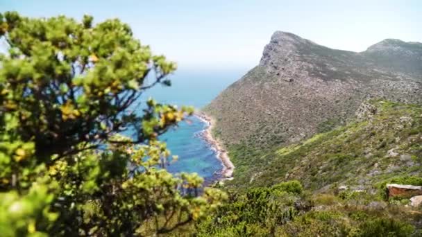 Ocean Vista Peak Cape Point Cape Peninsula South Africa High — Stockvideo