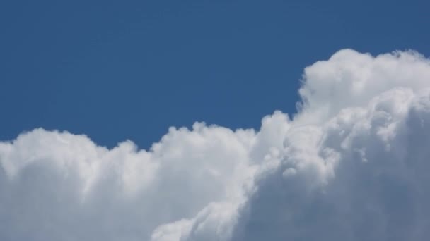 Timelapse White Thick Clouds Filling Blue Sky Frame — Vídeos de Stock