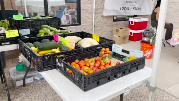 Weekly Heirloom Farmers Market Green Valley Arizona — Video Stock