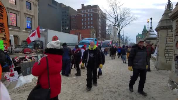 Freedom Convoy 2022 Truckers Line Protesting Government Covid Vaccine Mandate — Stok Video