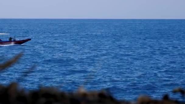 Motorboat Full Tourist Traveling Popular Snorkeling Spot Blue Ocean Capital — Stok video