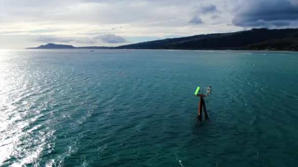 Статический Снимок Морской Платформы Океане Гонолулу Пляже — стоковое видео