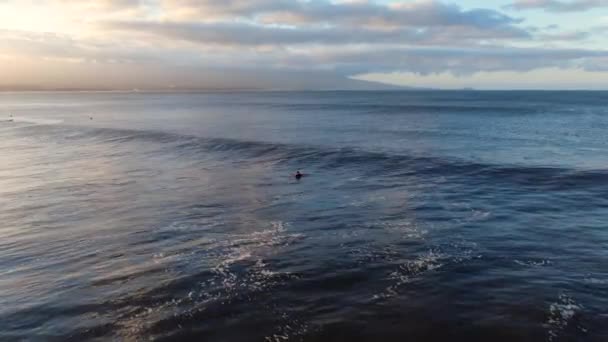 Surfer Attempting Ride Wave Another Duck Dives Sunrise Hawaii — Stock video