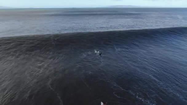 Bodyboarder Catches Big Wave Maui Hawaii Sunrise — Video Stock