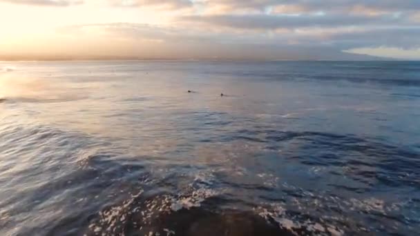 Two Body Boarders Paddling Out Big Wave Surfing Sunrise — Video Stock