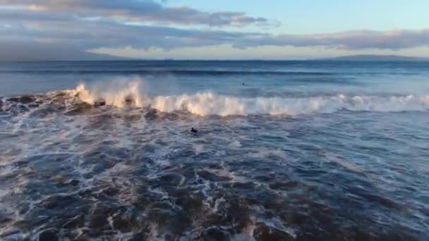 Fly Out Surfers Duck Diving Big Waves Maui Hawaii Sunrise — Video Stock