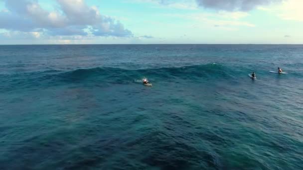 Aerial Pullout Female Surfer Catching Wave Wipe Out Oahu Hawaii — Stock videók