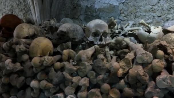 Ancient Human Skulls Bones Ossuary Crypt Leonards Church Hythe Kent — Stok video