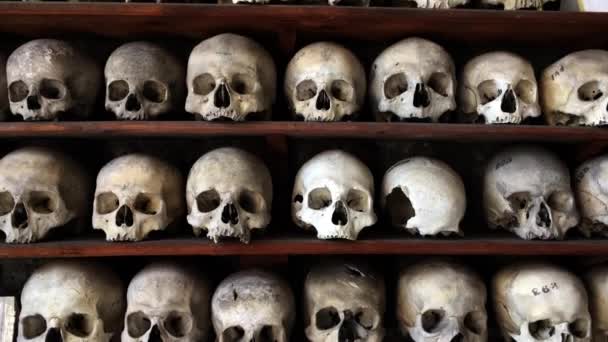 Ancient Human Skulls Ossuary Crypt Leonards Church Hythe Kent — Stok video